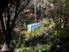 davidhill_botanical_garden-110img_0196