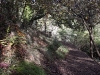 davidhill_botanical_garden-130img_0275