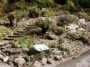 davidhill_botanical_garden-26img_9862