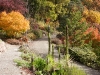 davidhill_botanical_garden-34img_9896