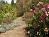 davidhill_botanical_garden-73img_0074