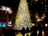 davidhill_los_angeles-2img_1564