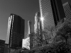 davidhill_los_angeles-1img_2809