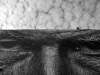 davidhill_los_angeles-23img_3021