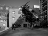 davidhill_los_angeles-3img_2848