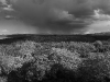 monolake_8310bw
