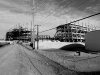 davidhill_49ers-11img_7033