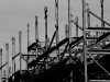 davidhill_49ers-12img_7040