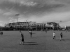 davidhill_49ers-14img_7114