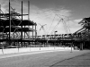 davidhill_49ers-18img_7020