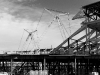 davidhill_49ers-20img_7024
