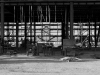 davidhill_49ers-2img_7138