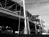 davidhill_49ers-6img_7135