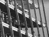 davidhill_49ers-8img_7042