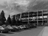 davidhill_49ers-9img_7126