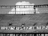 davidhill_49ers_Stadium--11img_4440