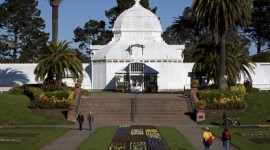 GOldenGate_10572