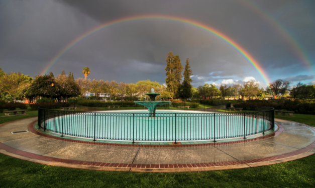 SJ Municipal Rose Garden