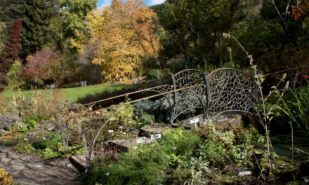 UC Botanical Garden – Berkeley, CA