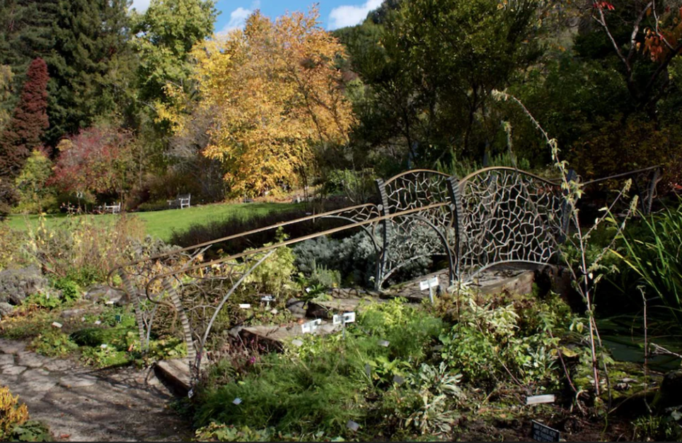 UC Botanical Garden – Berkeley, CA