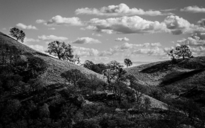 Mt Diablo