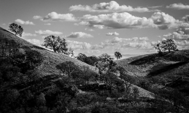 Mt Diablo