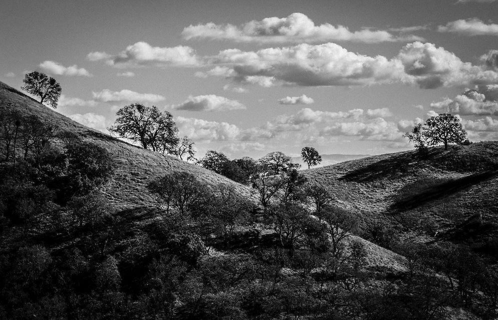 Mt Diablo