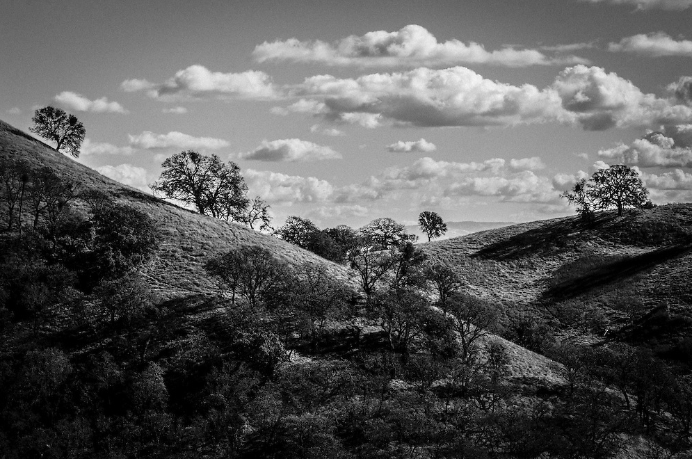 Mt Diablo
