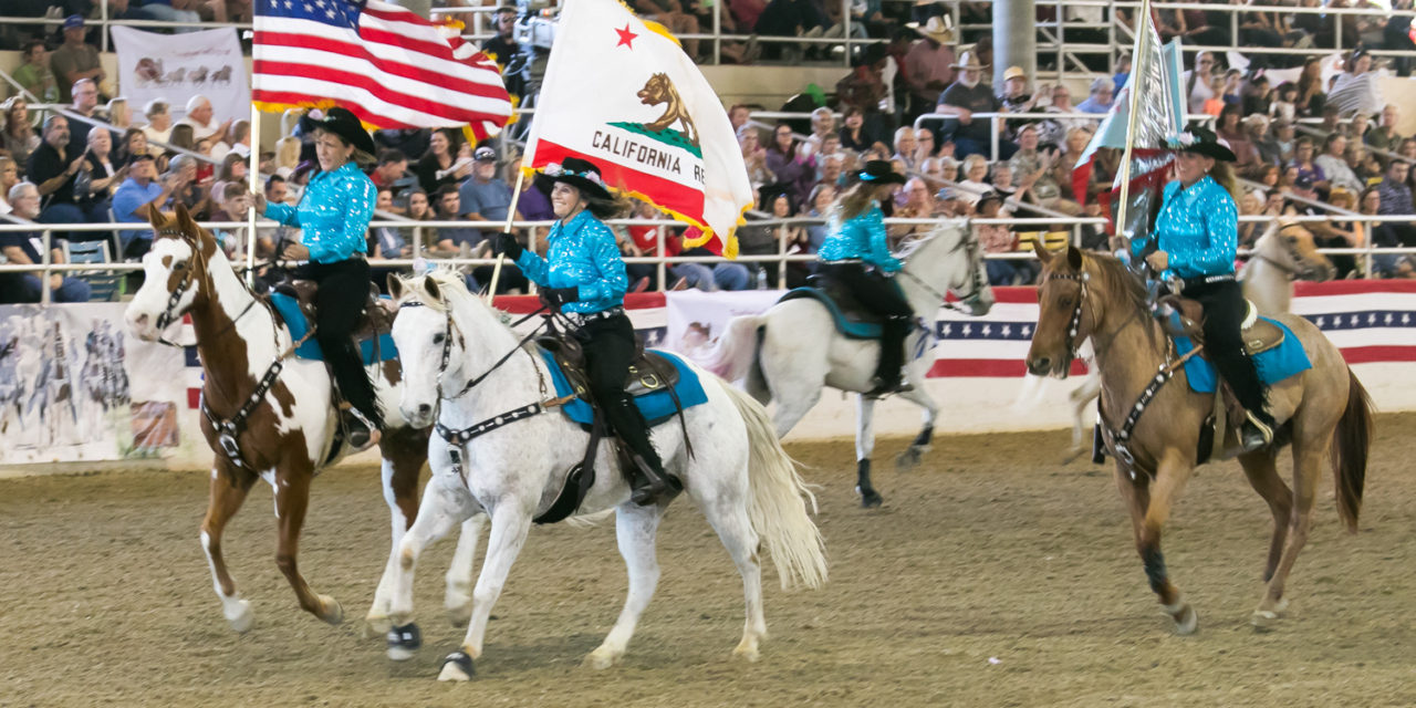 Equestfest 2018