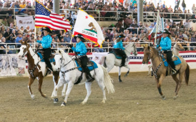 Equestfest 2018