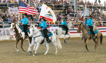 Equestfest 2018