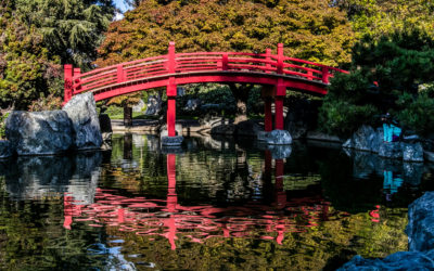 Japanese Friendship Garden