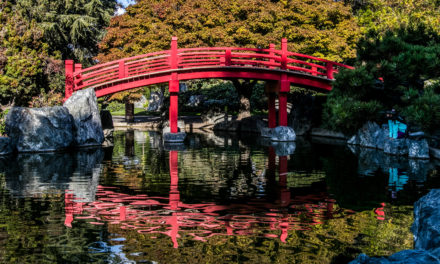 Japanese Friendship Garden