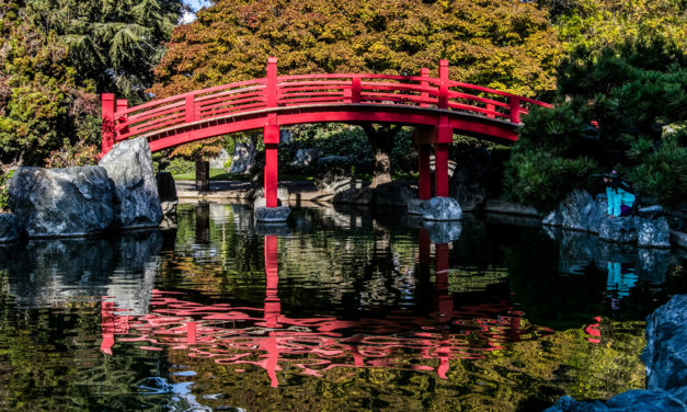 Japanese Friendship Garden