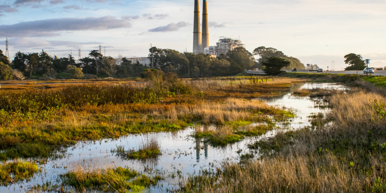 Moss Landing Wildlife Area