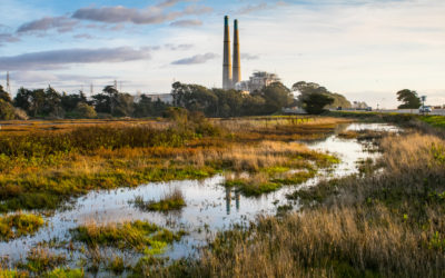 Moss Landing Wildlife Area