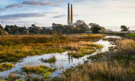 Moss Landing Wildlife Area