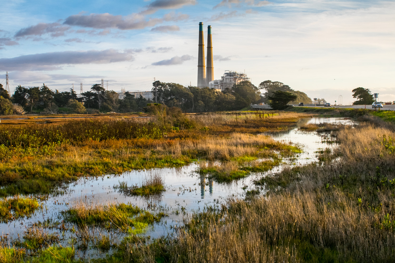 Moss Landing Wildlife Area