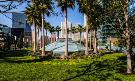 Salesforce Park