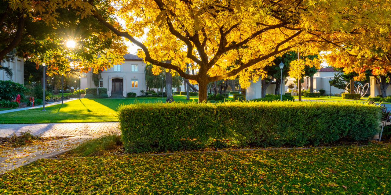 Mission Santa Clara/Santa Clara University State of Light