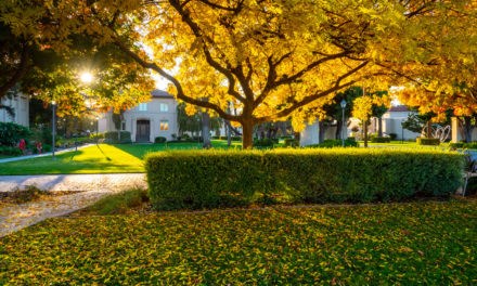 Mission Santa Clara/Santa Clara University