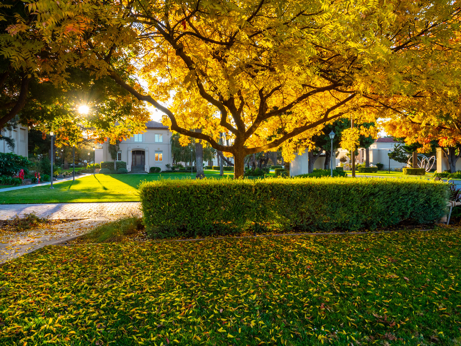 Mission Santa Clara/Santa Clara University