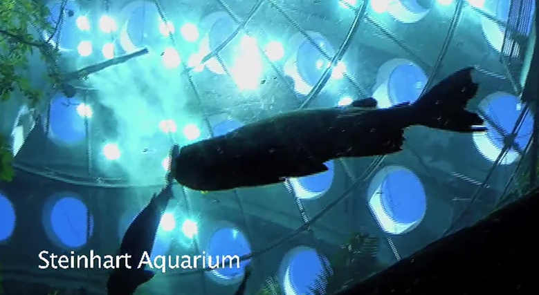 CA Academy Of Sciences