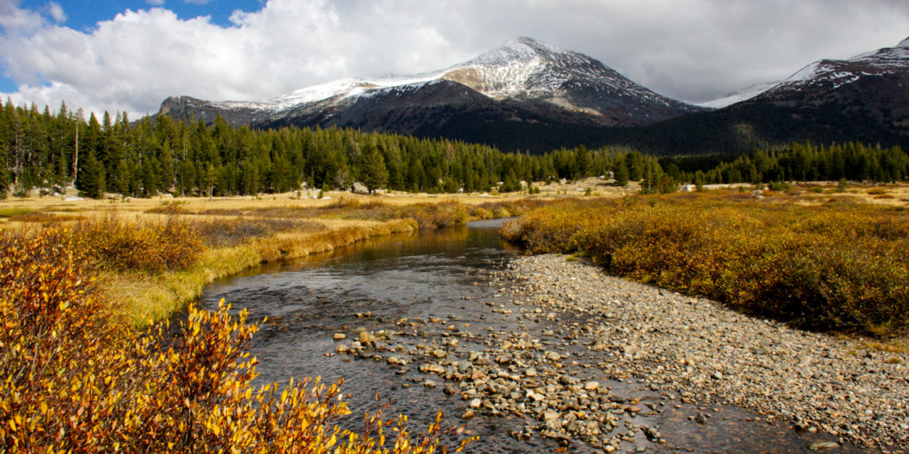 Tioga Pass