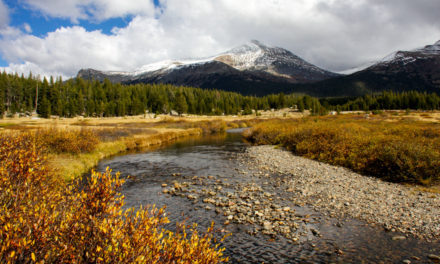 Tioga Pass