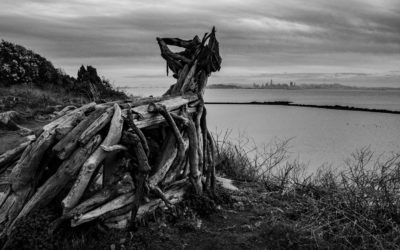 Albany Bulb San Francisco bay