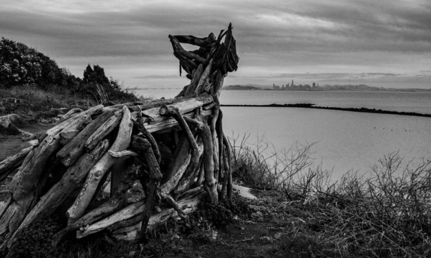 Albany Bulb San Francisco bay