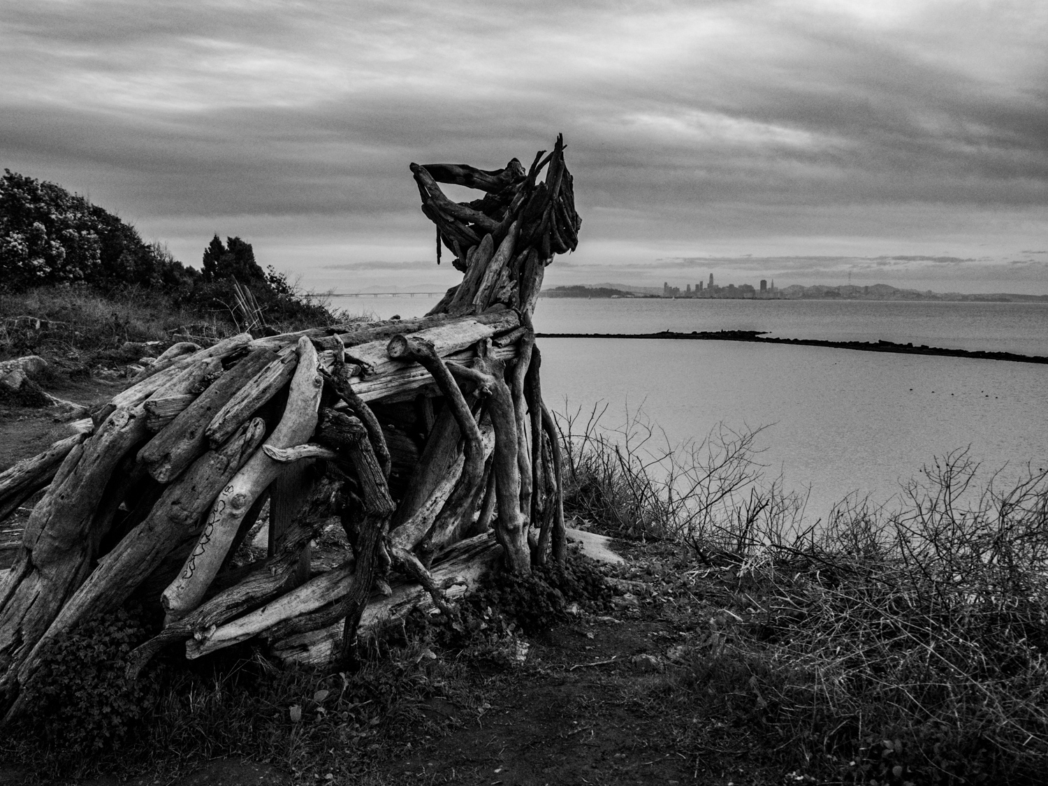 Albany Bulb San Francisco bay