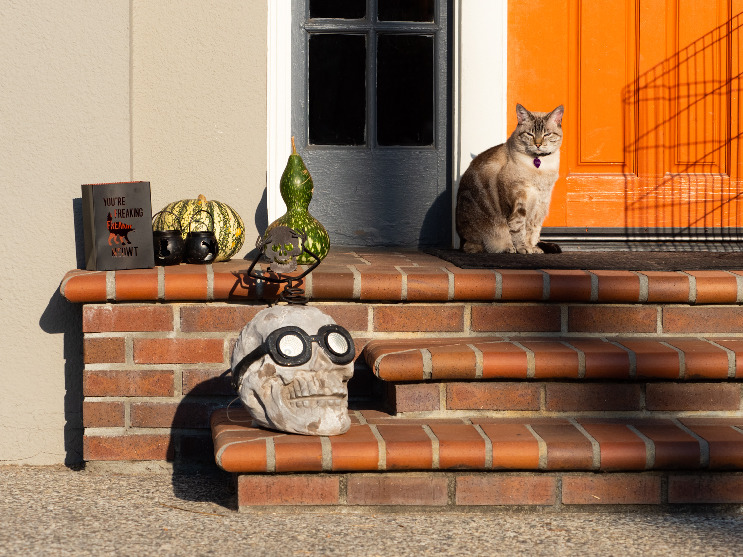The Alameda Halloween 2020