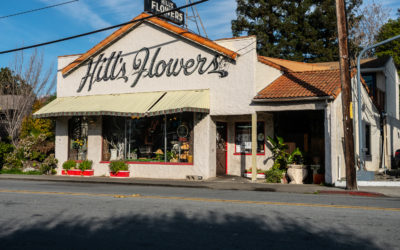 Race Street –  san  Jose